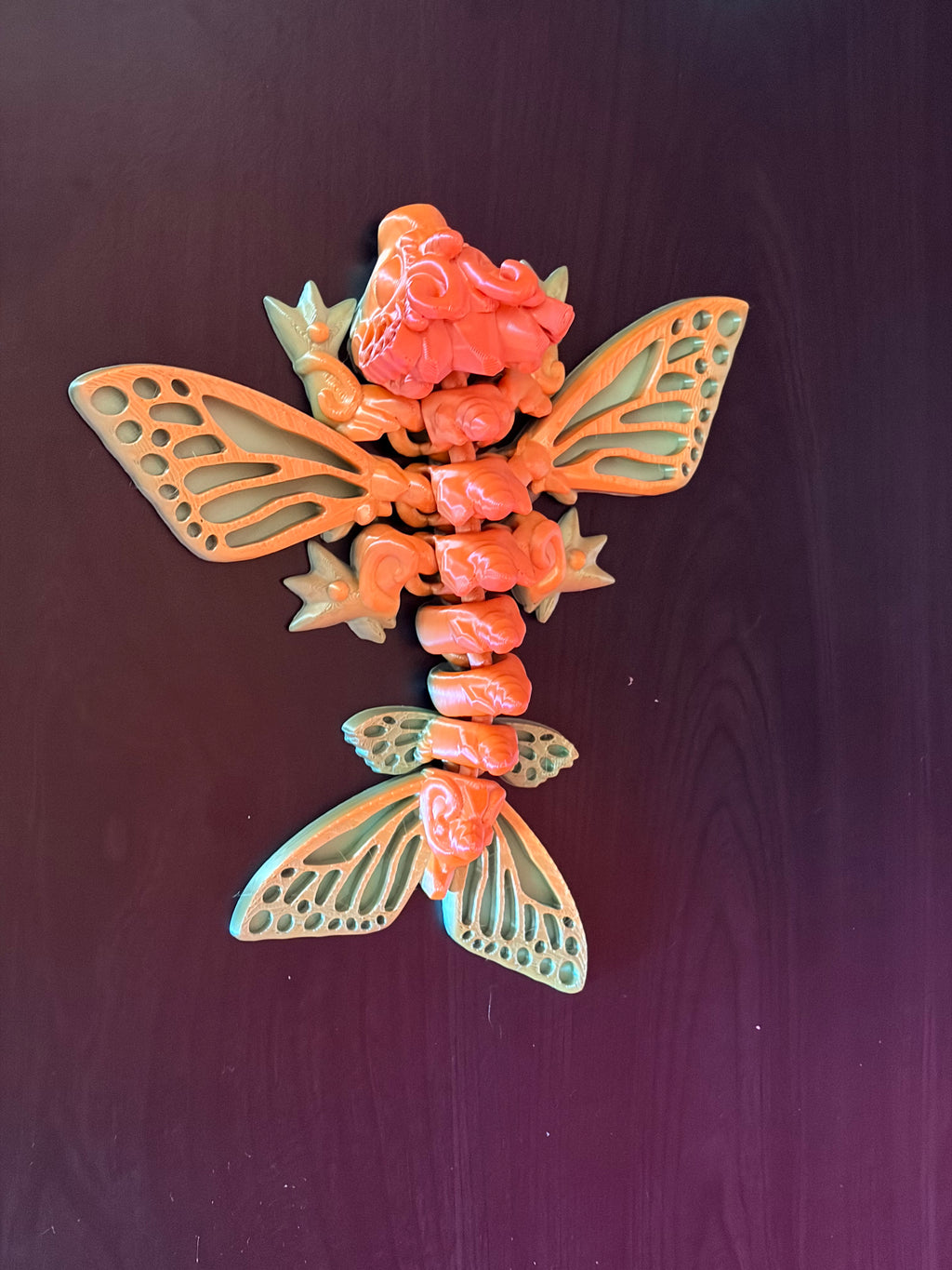 Butterfly dragon