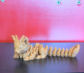 Cat dragon
